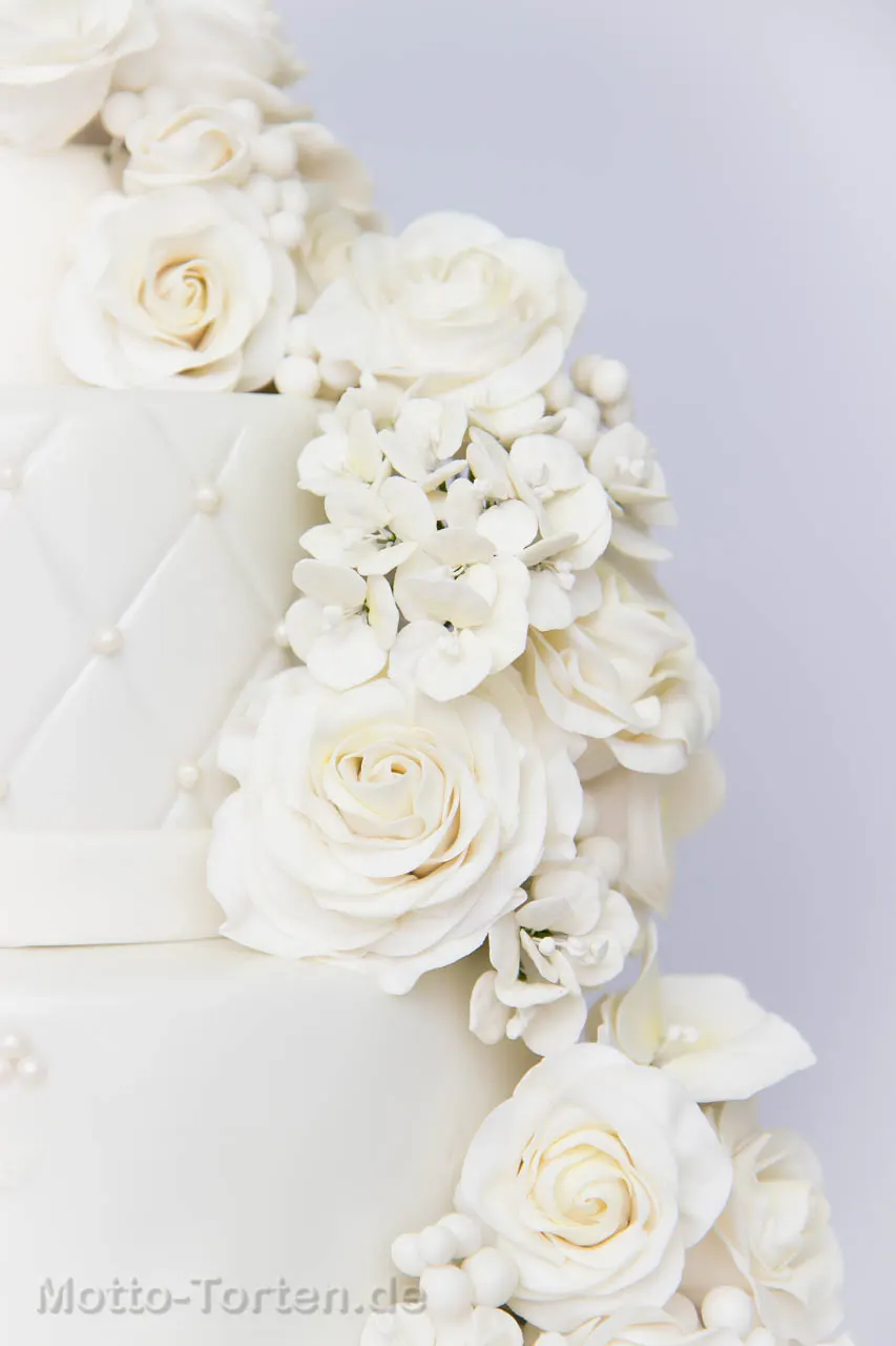 Detailbild Rosen