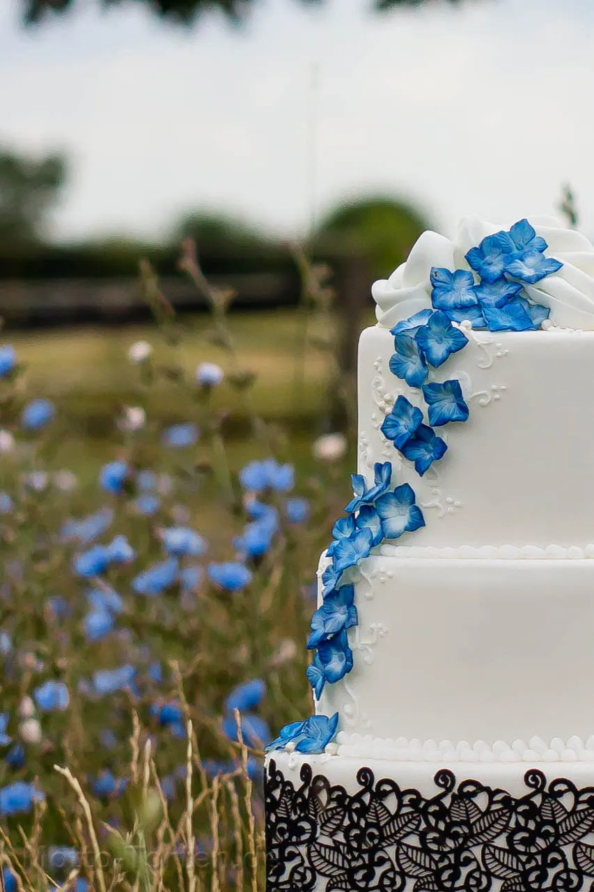 Hochzeitstorte mit schwarzer essbarer Spitze