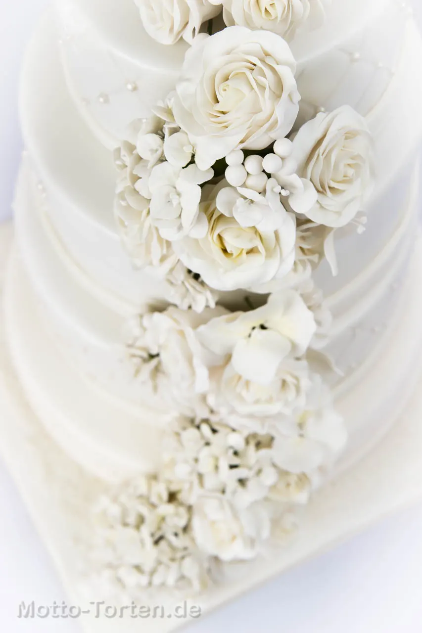 Detailbild Rosen