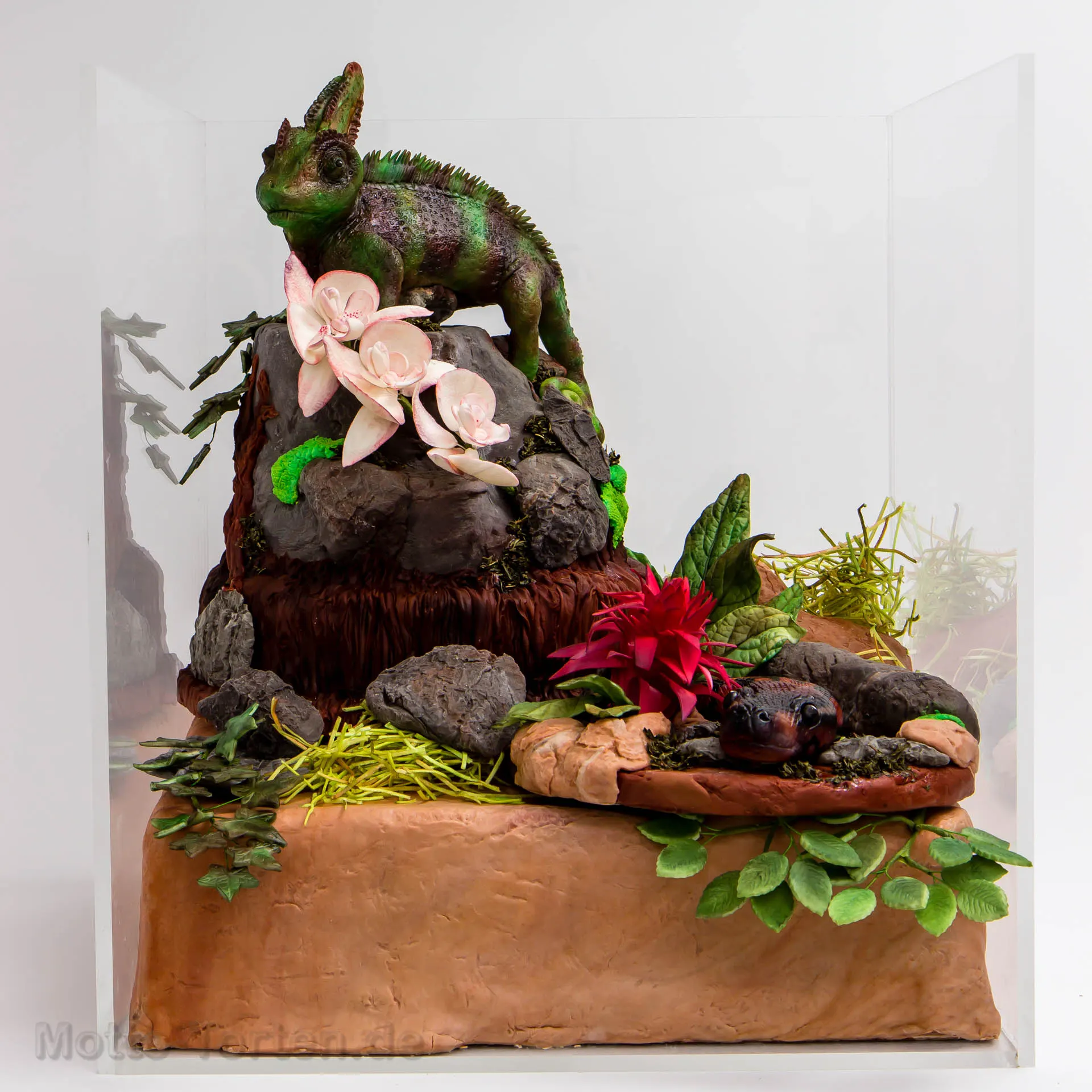Terrarium mit Chamäleon
