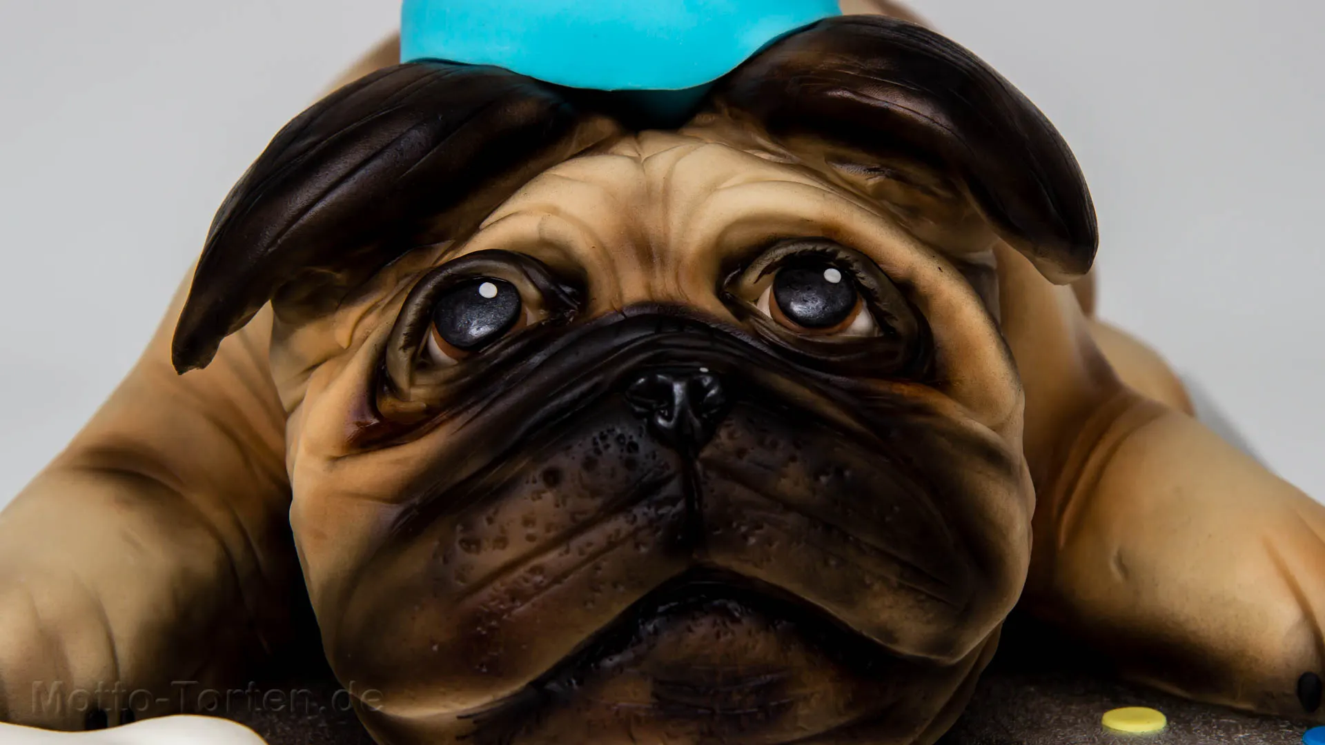 Torte Hund