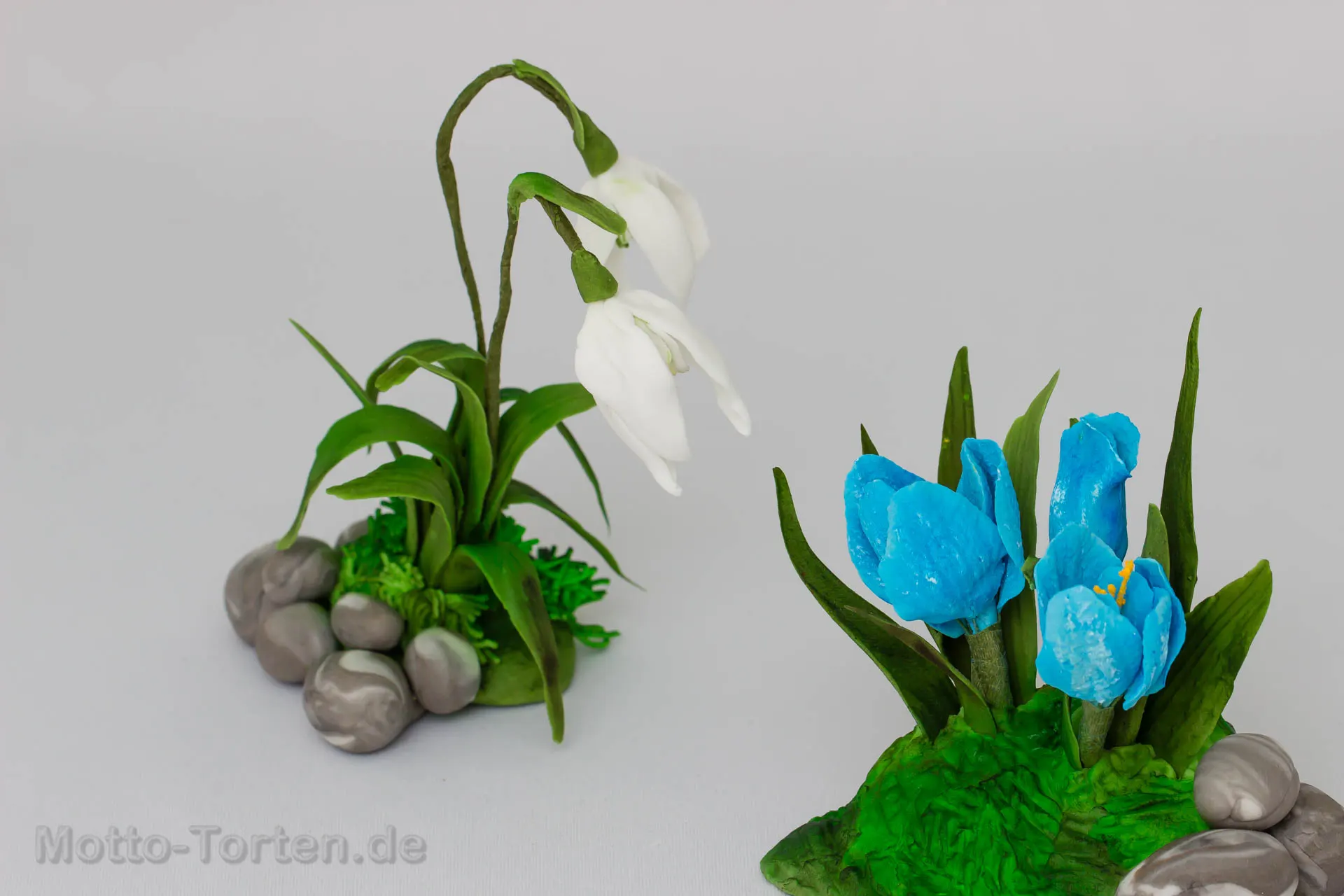 Schneeglöckchen und Krokus modelliert