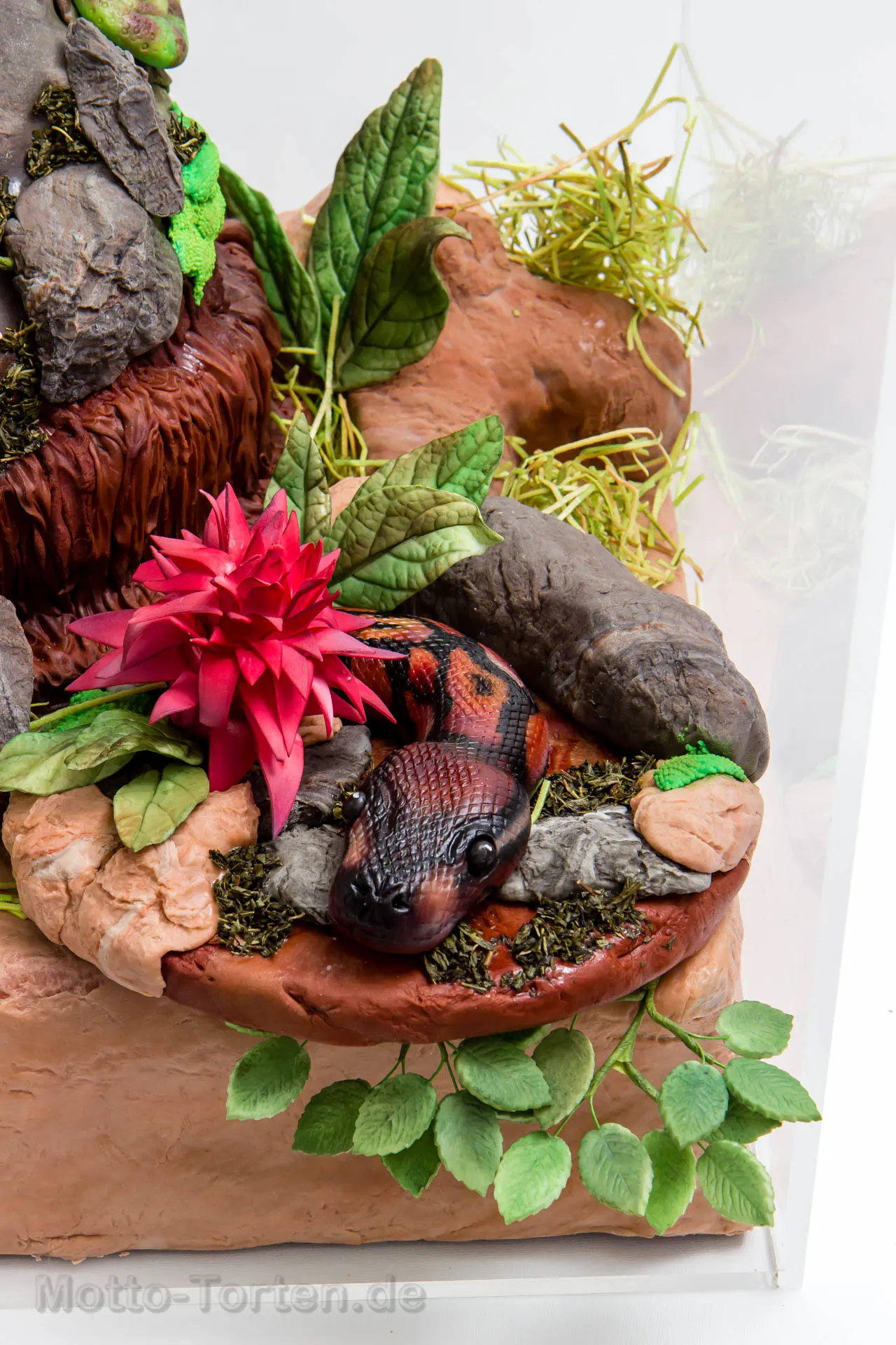 Schlange auf Cakeboard mit Felsen und Blüte. Caketopper zum aufbewahren