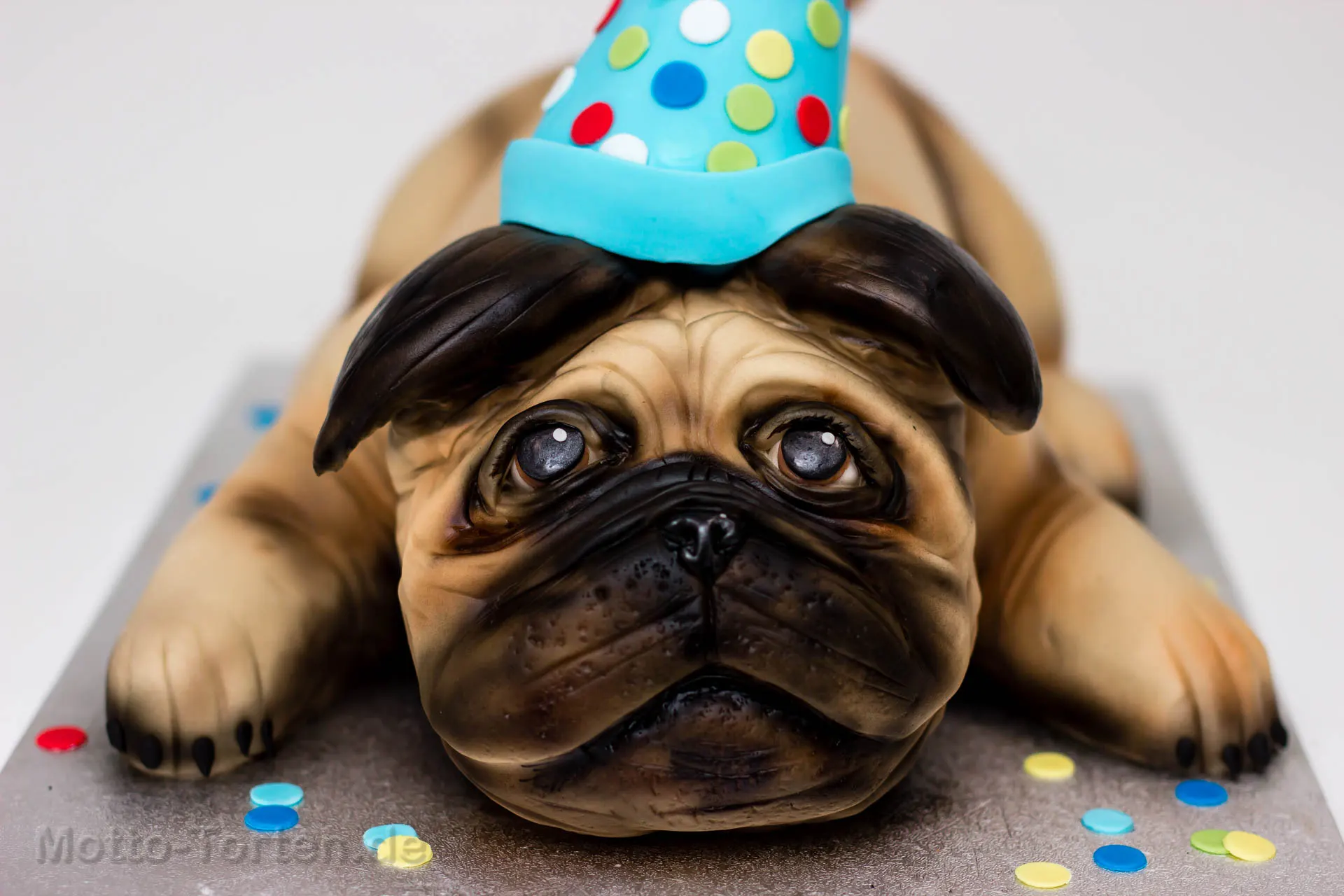 Torte Hund
