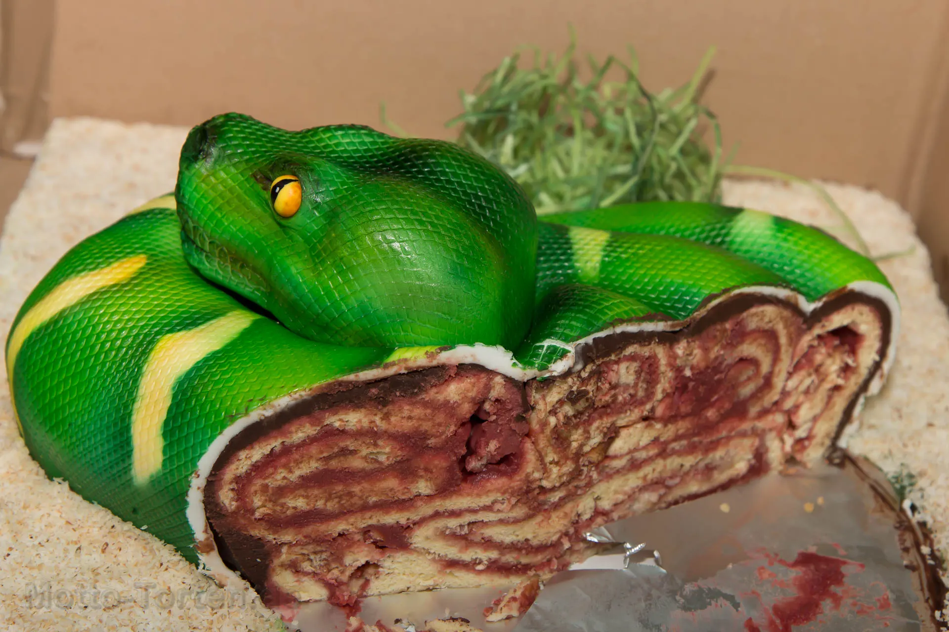 Torte grüne Schlange Anschnitt