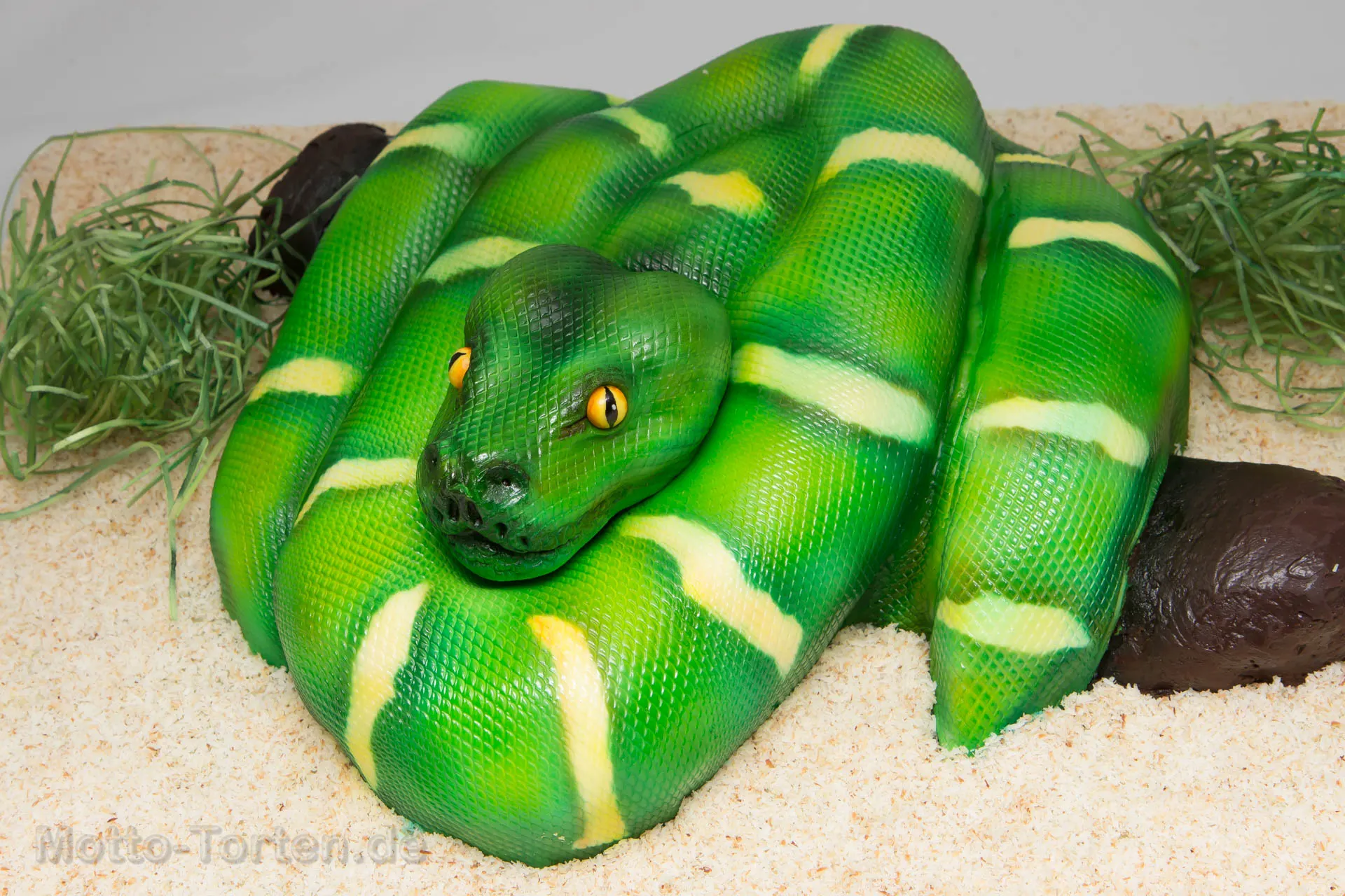 Schlange Baumboa